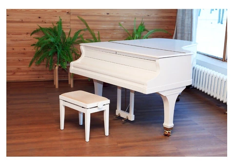 Expert Local Grand Piano Removalists - 3/7