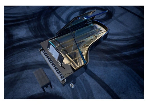 Expert Local Grand Piano Removalists - 5/7