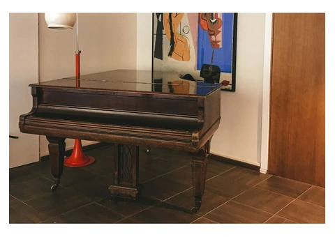 Expert Local Grand Piano Removalists - 6/7