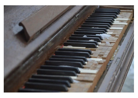 Expert Local Grand Piano Removalists - 7/7