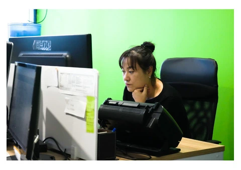 Accounting and Taxation Services - 7/11