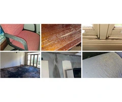 Mould Inspection Sydney | Mould Removal | Integrated Environmental