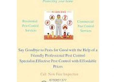 Affordable Anti Termite Pest Control Near Me || Star Pest Control