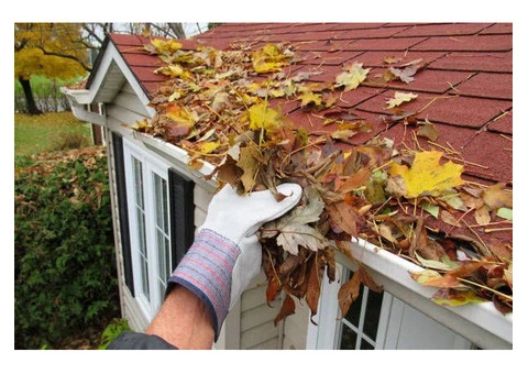 Gutter Cleaning & Repairs Cronulla