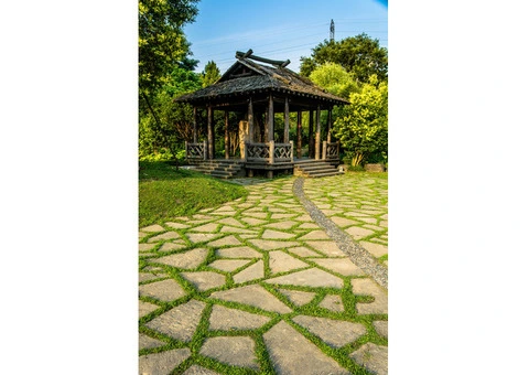 The Time is Now to Revamp Your Yard with Professional Landscape Design!