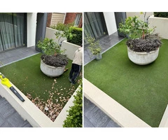 Looking For Lawn Care Service Sydney