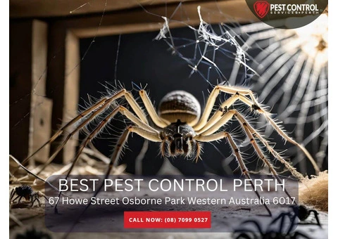 Affordable Commercial Pest Removal in Perth