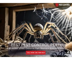 Affordable Commercial Pest Removal in Perth