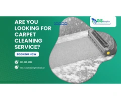 Revive Your Carpets with Expert Cleaning – Carpet Cleaning Brookvale