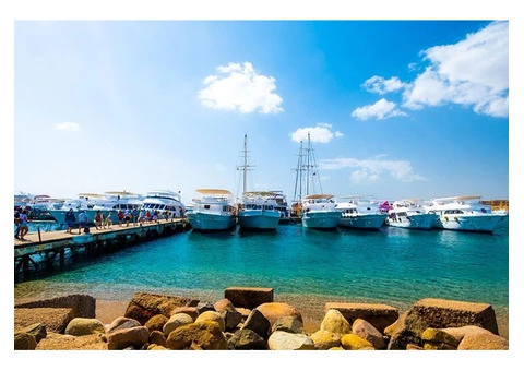 Deep sea day fishing trips