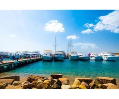 Deep sea day fishing trips