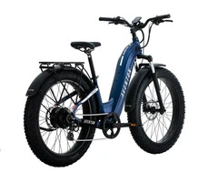 Aventon Aventure.2 Step Through E-Bike
