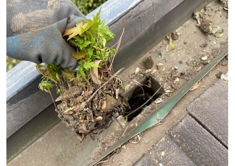 Gutter cleaning on The Mornington Peninsula - 2/8