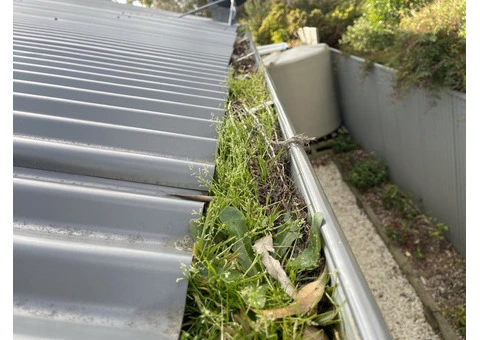 Gutter cleaning on The Mornington Peninsula - 5/8