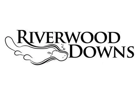 Couple Accommodation NSW: Enjoy The Romantic Getaway To The Fullest