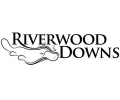 Couple Accommodation NSW: Enjoy The Romantic Getaway To The Fullest