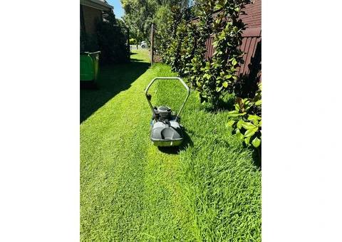 Antonio Landscaping and Handyman - 9/10