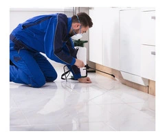 Protect Your Home With Pest Control in Thornbury