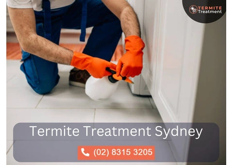Emergency Termite Treatment – Fast & Effective