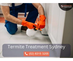 Emergency Termite Treatment – Fast & Effective