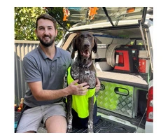 Electrician Goodwood