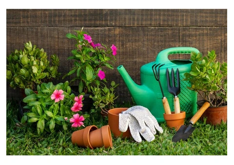 Healthy Seeds & Seedlings—Start Your Garden Right!