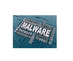 Firewall Security Services Brisbane | Next-Gen Firewall Solutions