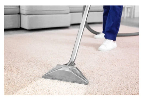 Reliable Carpet Cleaning South Yarra: True Carpet Cleaning