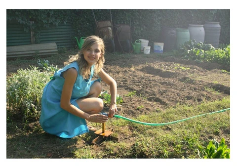 Struggling with Your Garden? Get Expert Coaching Now