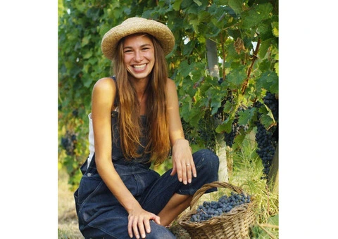 Buy Organic Slow Release Fertiliser – Boost Soil Health with Soil Dynamics!