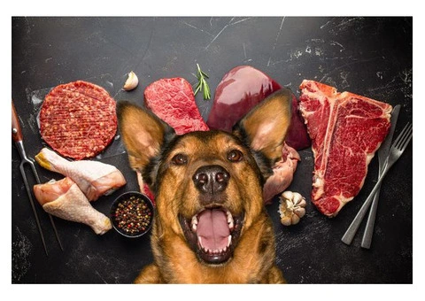 Customised meals for dogs - 1/3