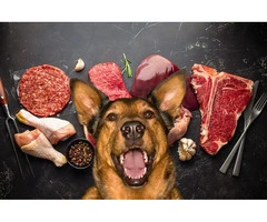 Customised meals for dogs