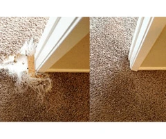 A2Z Carpet Repair Sydney