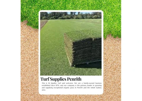 Find the Best Grass for Your Lawn