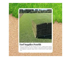 Find the Best Grass for Your Lawn