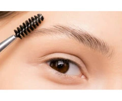 Get Flawless Brows with Eyebrow Wax and Tint at Day Spa in Perth