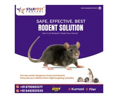 Mosquito Spray Services Near Me || Star Pest Control