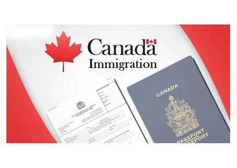 Best Canada Migration Agent – Expert Immigration Consultant