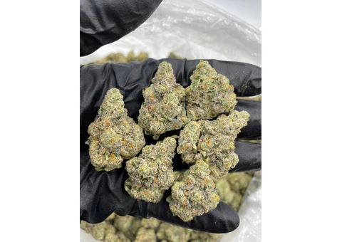 Buy Green Trees Grade AA