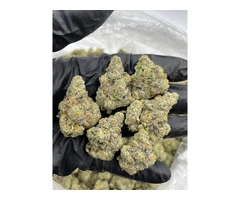 Buy Green Trees Grade AA