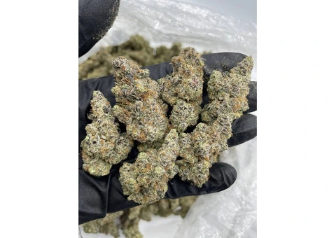 Buy Green Trees Grade AA - 2/2