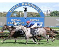 Criminal Lawyers Waverley