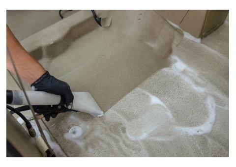 Couch Cleaning Services in Ashgrove: Squeaky Clean Sofa