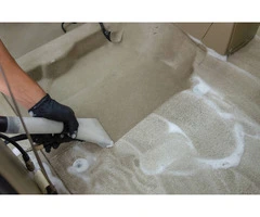 Couch Cleaning Services in Ashgrove: Squeaky Clean Sofa