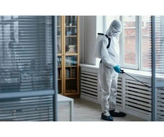 Expert Cockroach Pest Control Services in Sydney