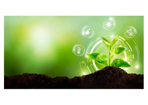 Boost Your  Vegetables with the Best Organic Fertilier – Only at Soil Dynamics!