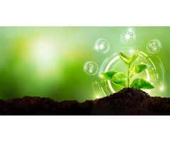 Boost Your  Vegetables with the Best Organic Fertilier – Only at Soil Dynamics!