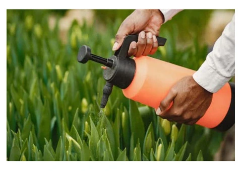 Bug Boyz Pest Control - 1/4