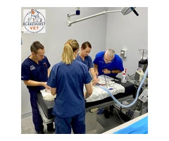 Blakehurst Vet
