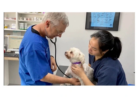 Blakehurst Vet - 2/7